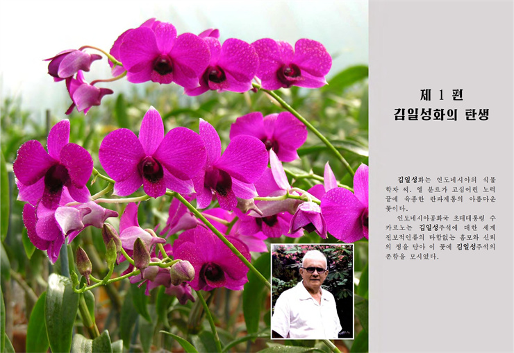 <b>김일성</b>화전서_11.jpg