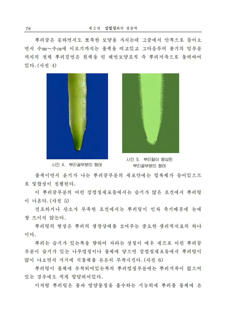 <b>김일성</b>화전서_79.jpg