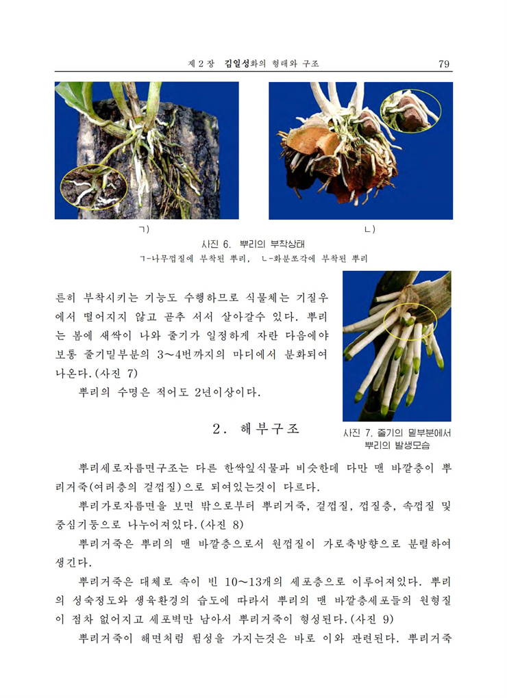 <b>김일성</b>화전서_80.jpg