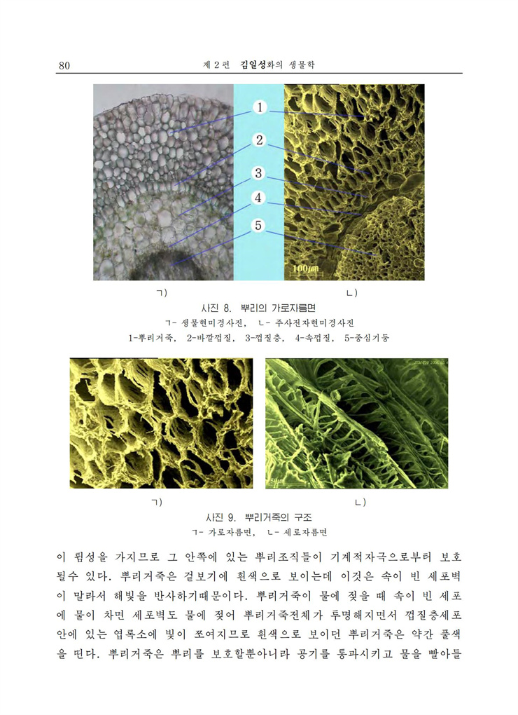 <b>김일성</b>화전서_81.jpg