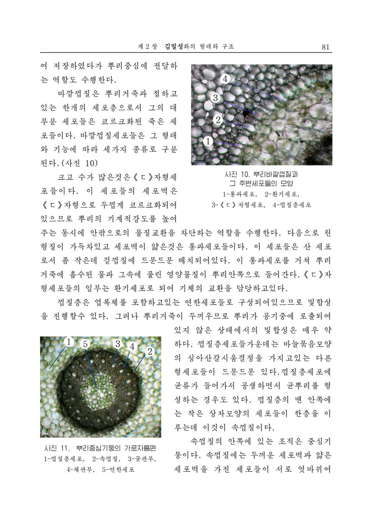 <b>김일성</b>화전서_82.jpg
