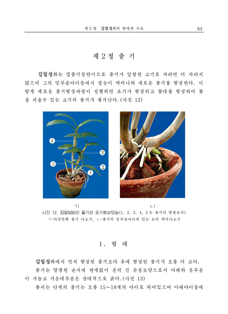 <b>김일성</b>화전서_84.jpg