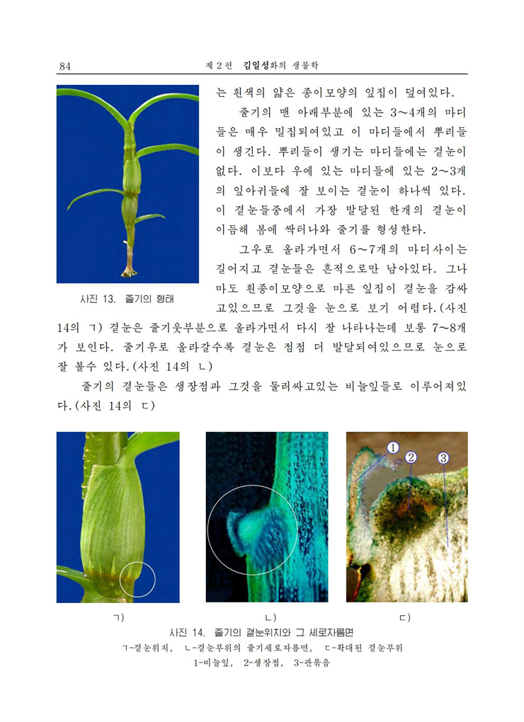 <b>김일성</b>화전서_85.jpg