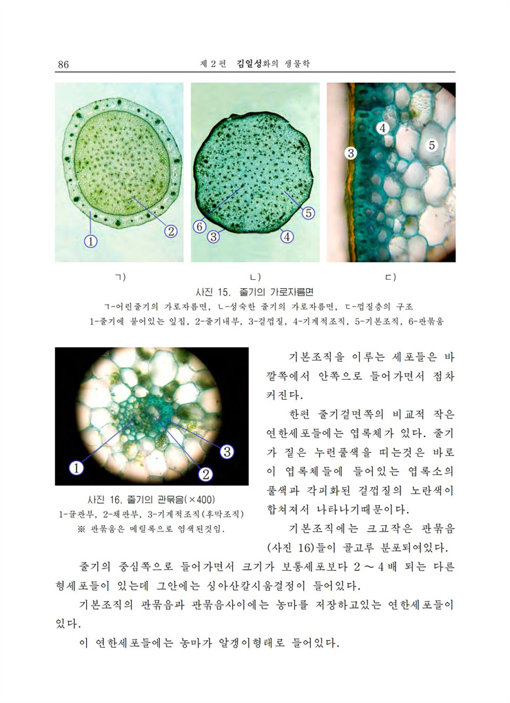 <b>김일성</b>화전서_87.jpg