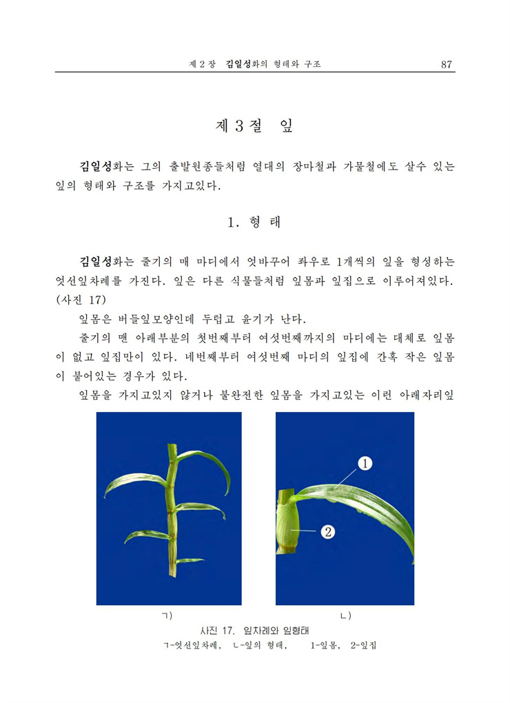 <b>김일성</b>화전서_88.jpg