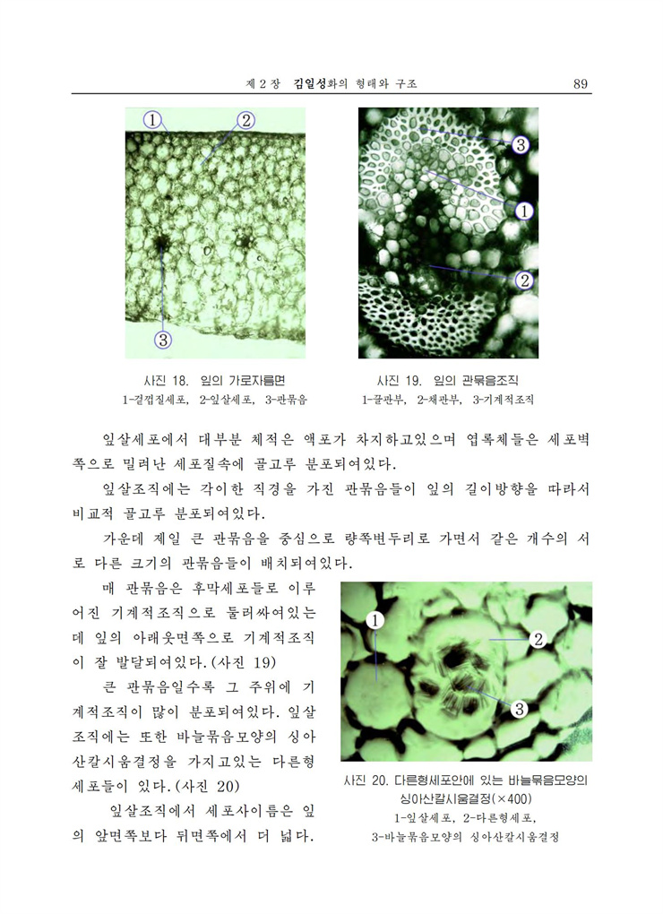 <b>김일성</b>화전서_90.jpg