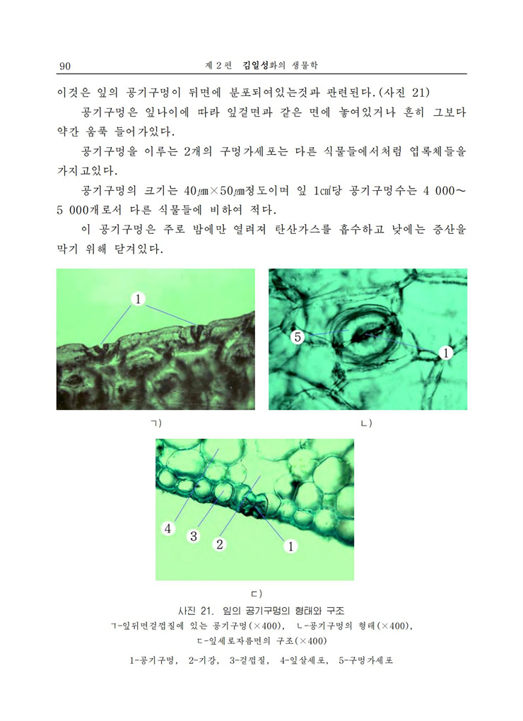<b>김일성</b>화전서_91.jpg