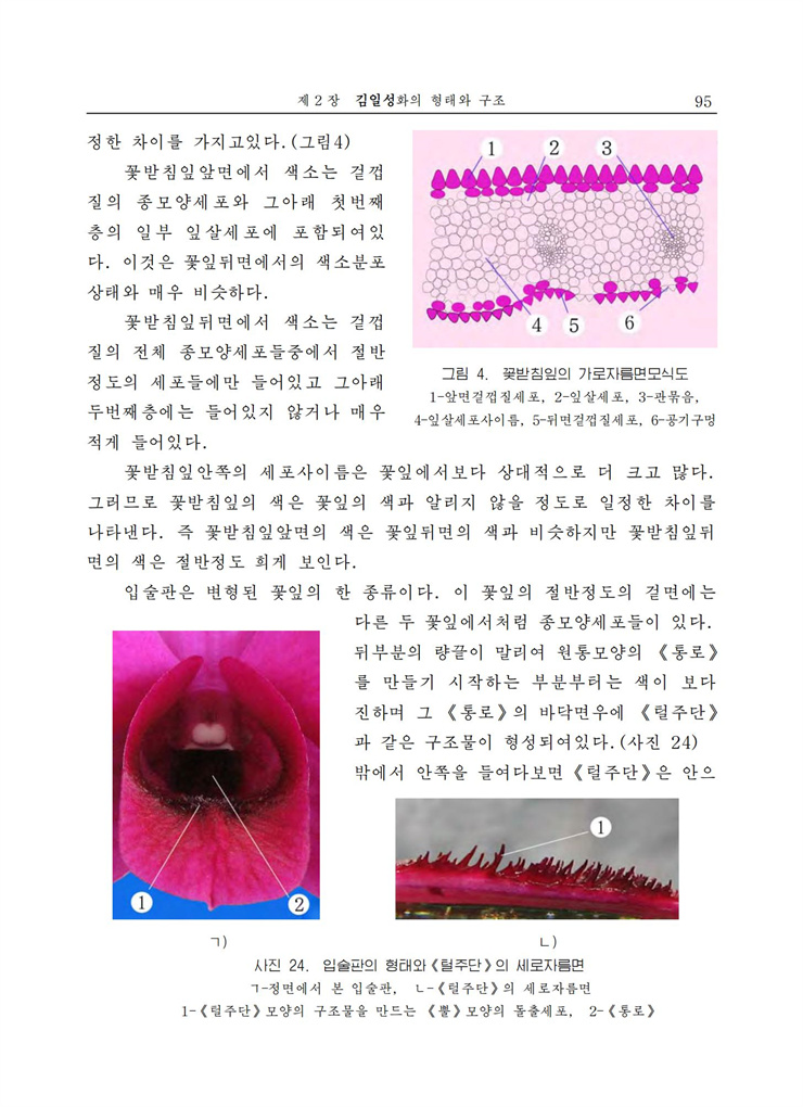 <b>김일성</b>화전서_96.jpg
