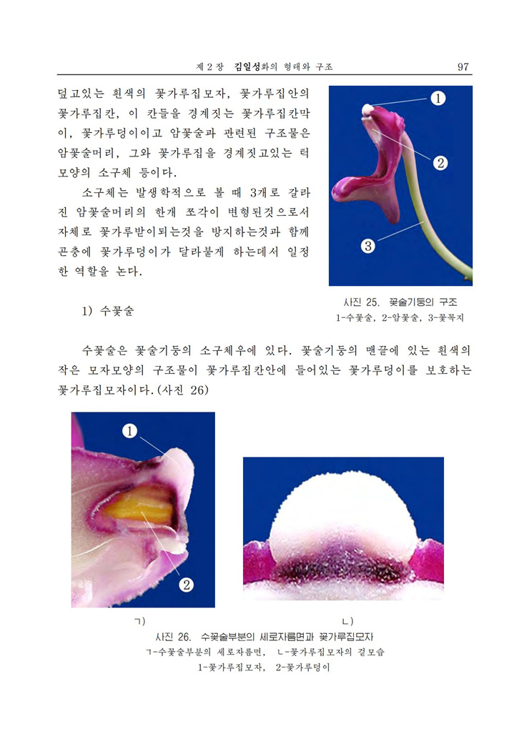 <b>김일성</b>화전서_98.jpg