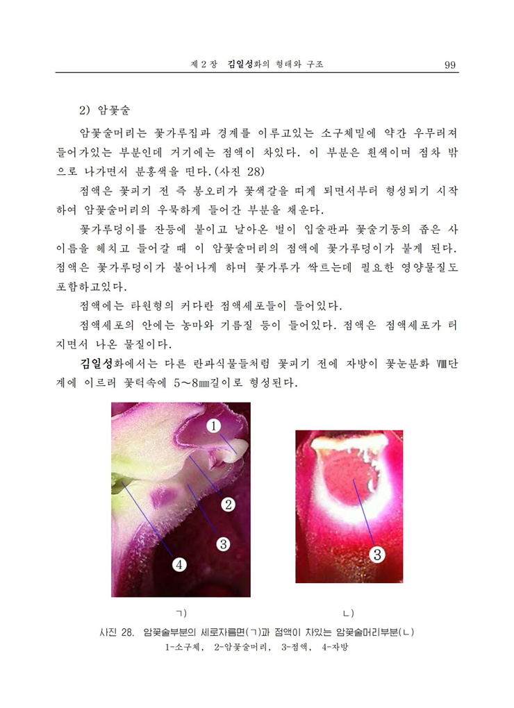 <b>김일성</b>화전서_100.jpg