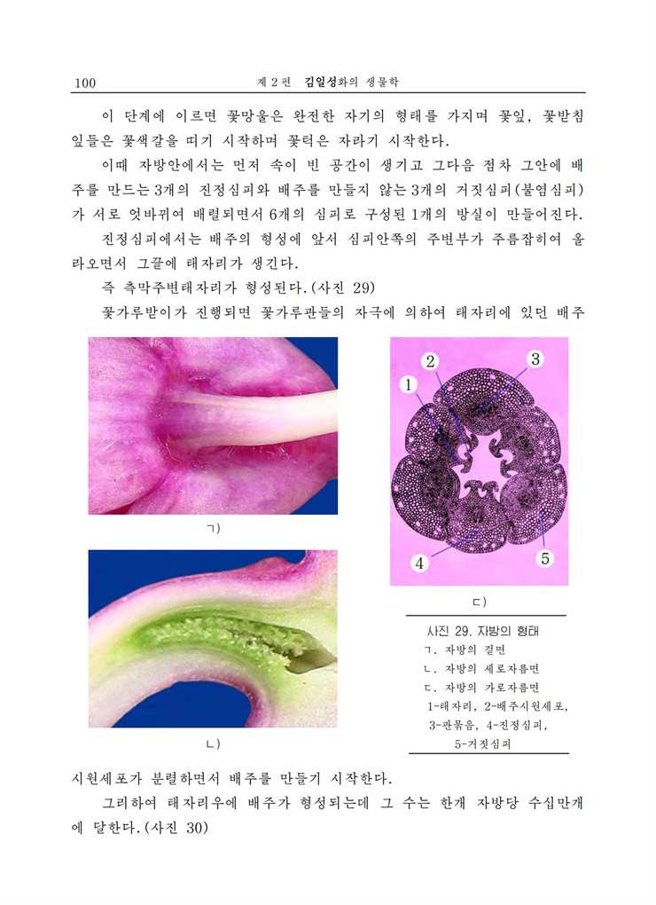 <b>김일성</b>화전서_101.jpg