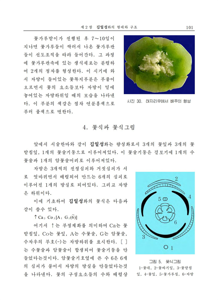 <b>김일성</b>화전서_102.jpg