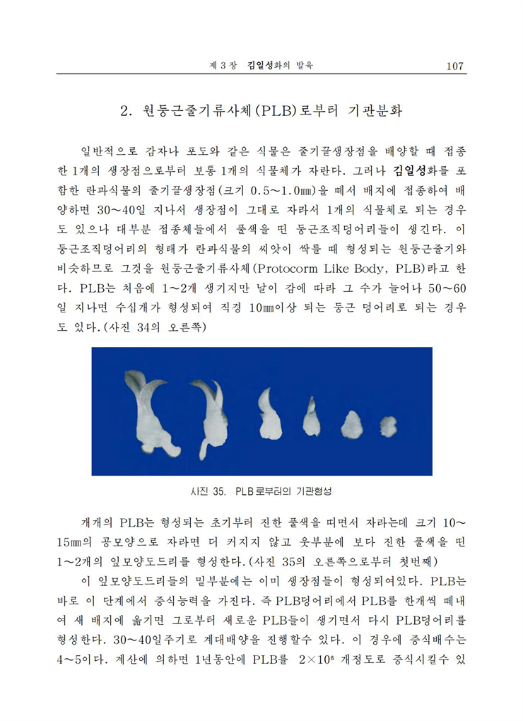 <b>김일성</b>화전서_108.jpg
