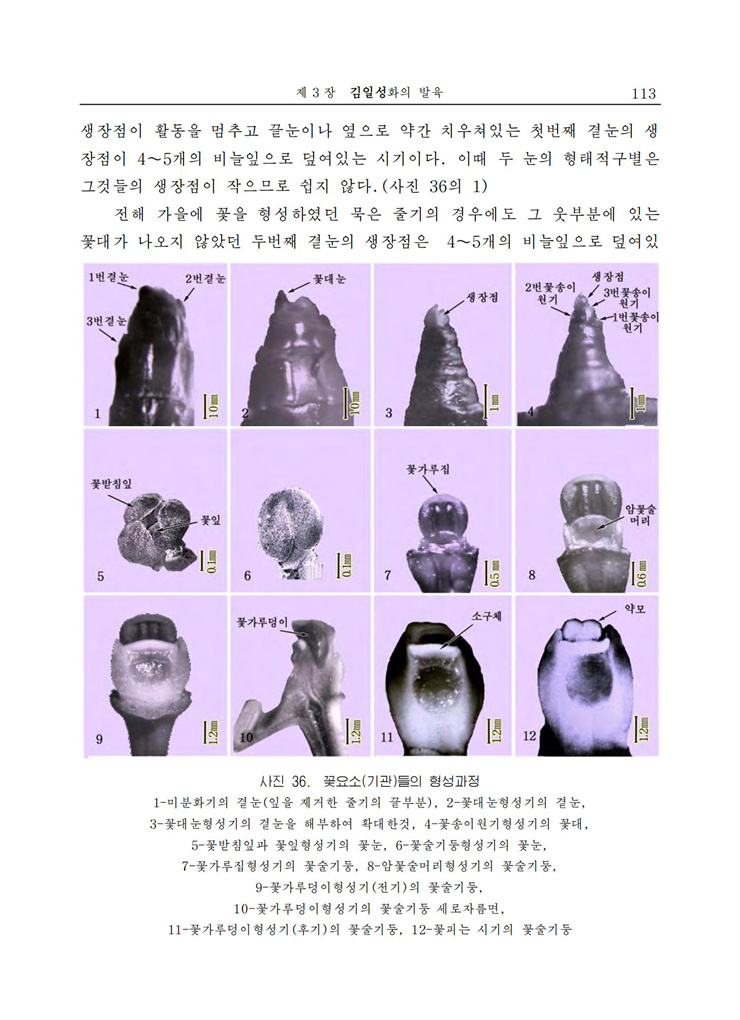 <b>김일성</b>화전서_114.jpg