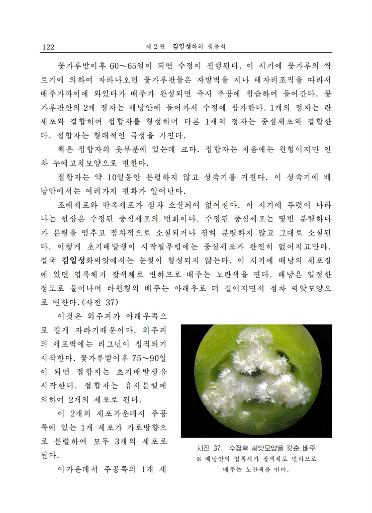 <b>김일성</b>화전서_123.jpg