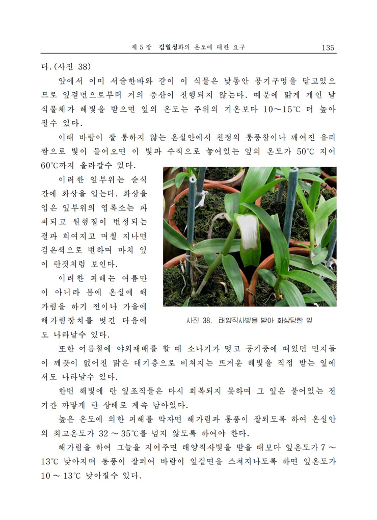 <b>김일성</b>화전서_136.jpg