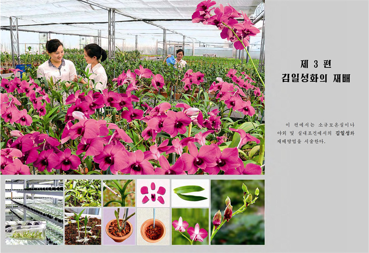 <b>김일성</b>화전서_143.jpg