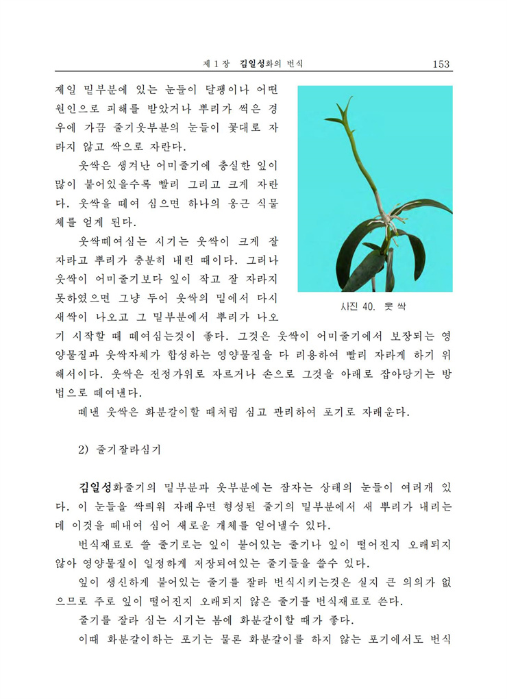 <b>김일성</b>화전서_153.jpg
