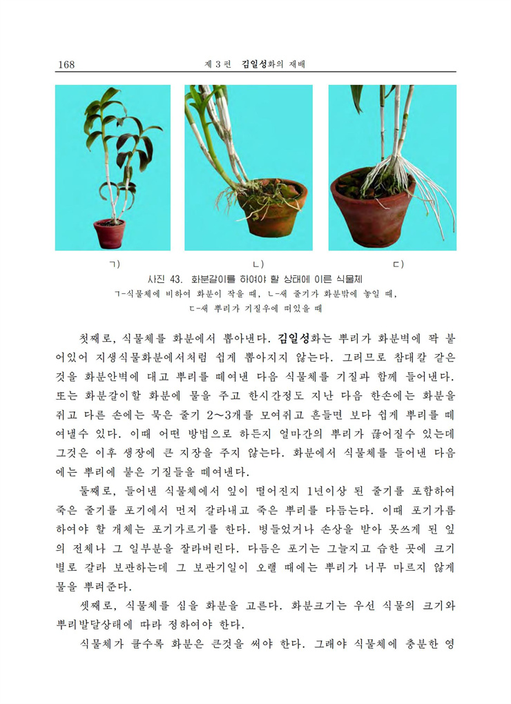 <b>김일성</b>화전서_168.jpg