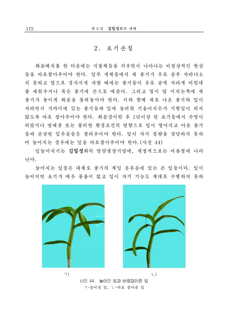 <b>김일성</b>화전서_172.jpg