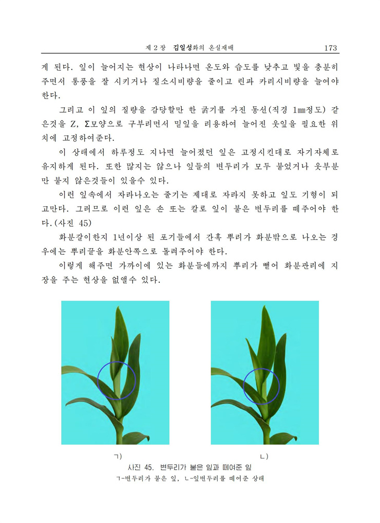 <b>김일성</b>화전서_173.jpg