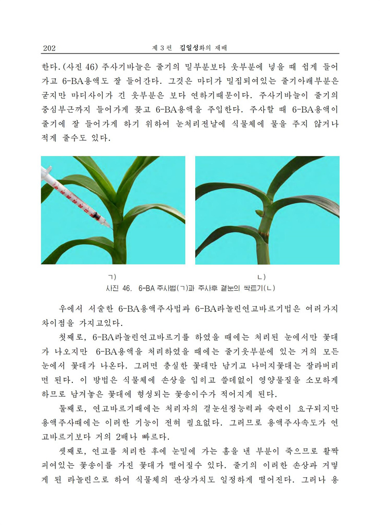 <b>김일성</b>화전서_202.jpg