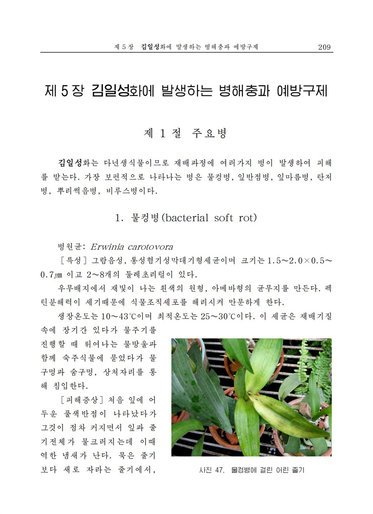 <b>김일성</b>화전서_209.jpg