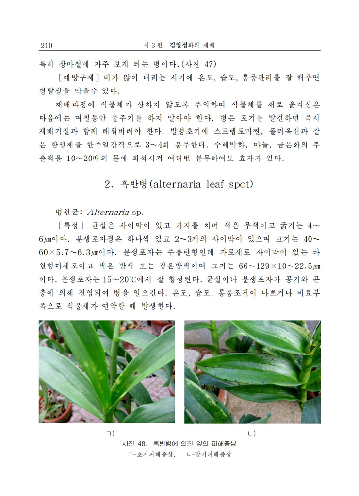 <b>김일성</b>화전서_210.jpg