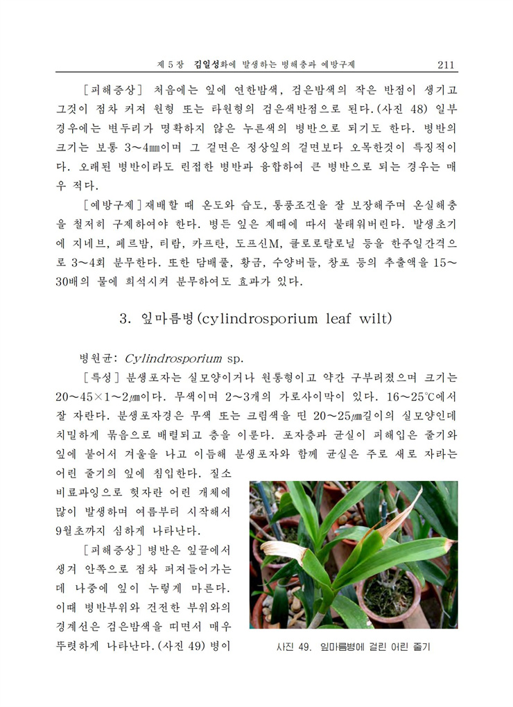 <b>김일성</b>화전서_211.jpg