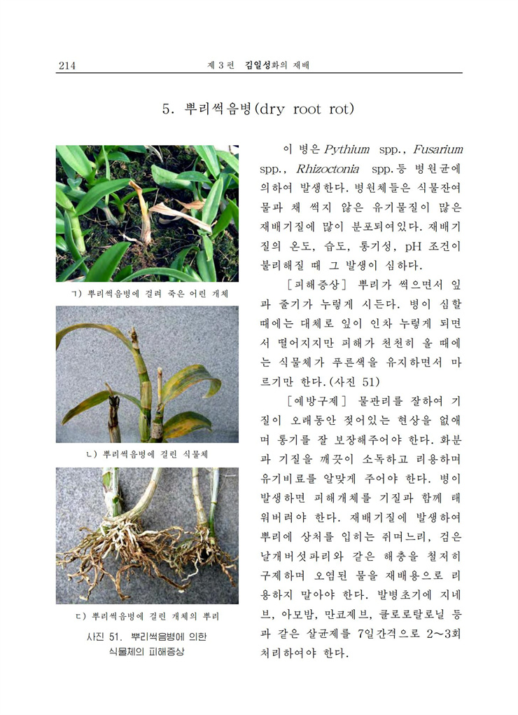 <b>김일성</b>화전서_214.jpg