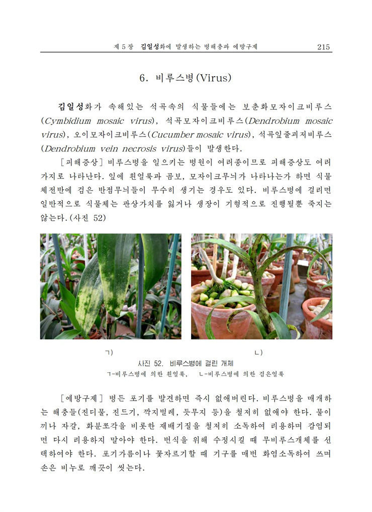 <b>김일성</b>화전서_215.jpg