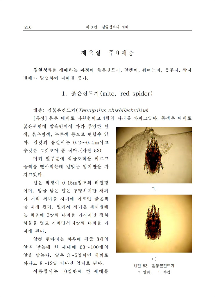 <b>김일성</b>화전서_216.jpg