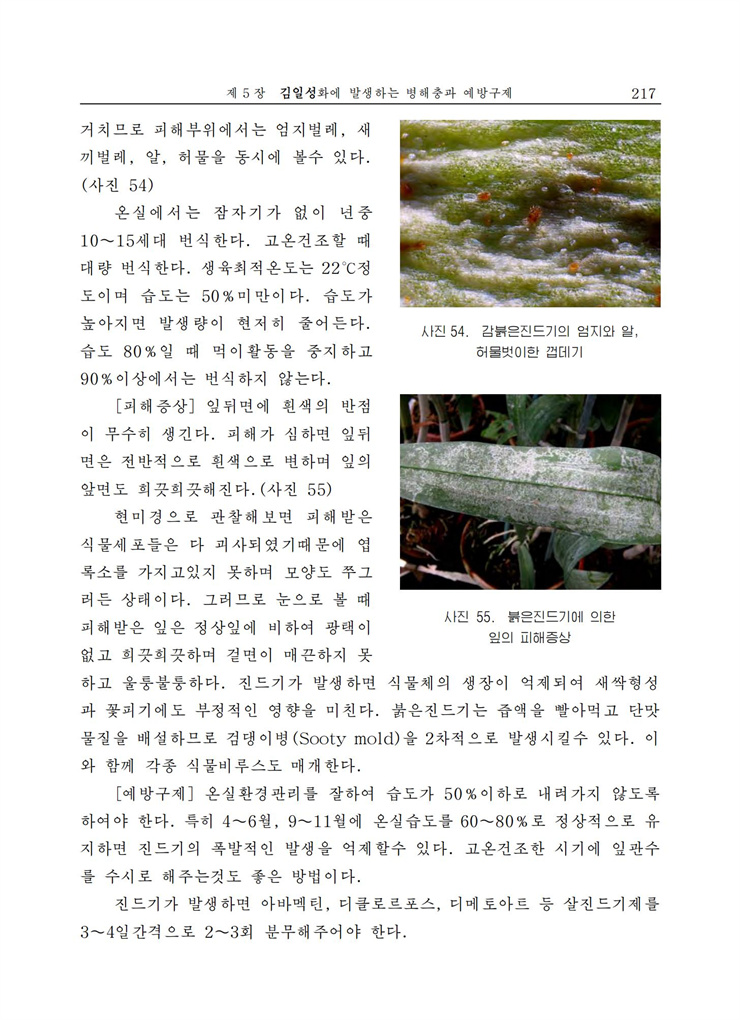 <b>김일성</b>화전서_217.jpg