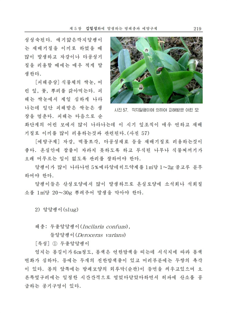<b>김일성</b>화전서_219.jpg