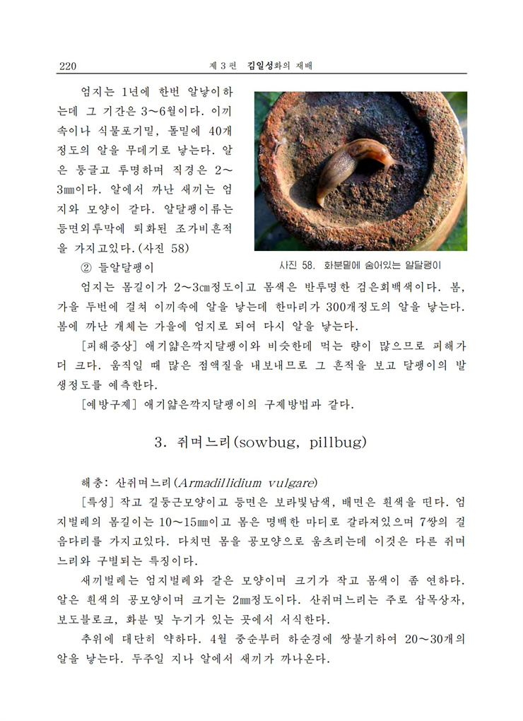 <b>김일성</b>화전서_220.jpg
