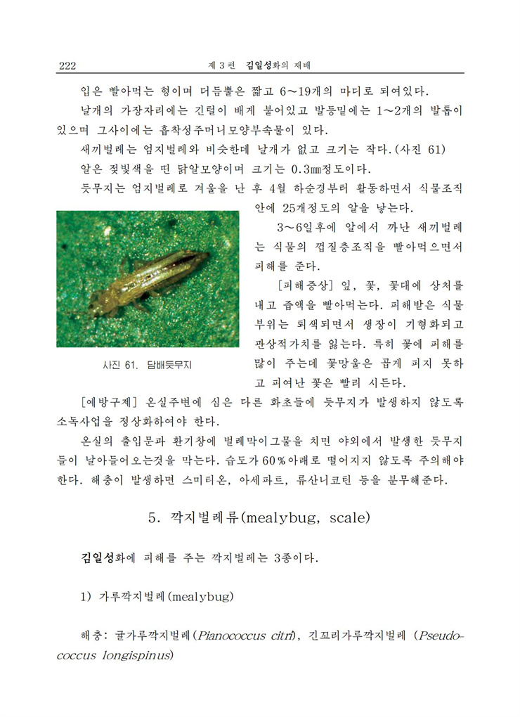 <b>김일성</b>화전서_222.jpg