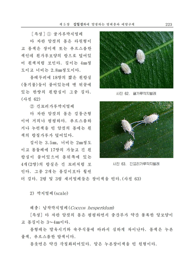 <b>김일성</b>화전서_223.jpg