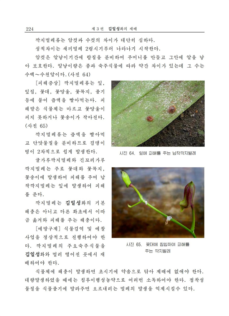 <b>김일성</b>화전서_224.jpg