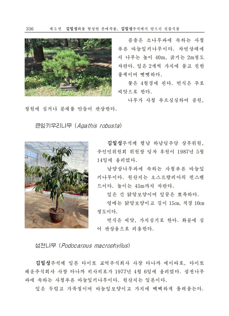 <b>김일성</b>화전서_330.jpg