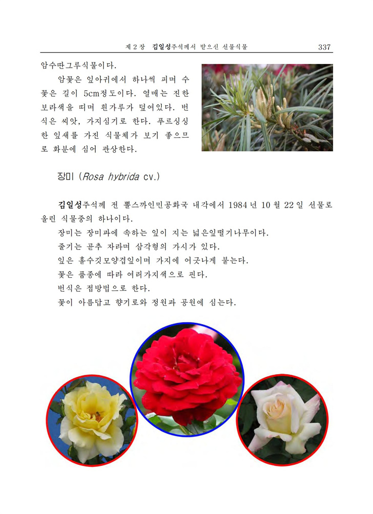 <b>김일성</b>화전서_331.jpg