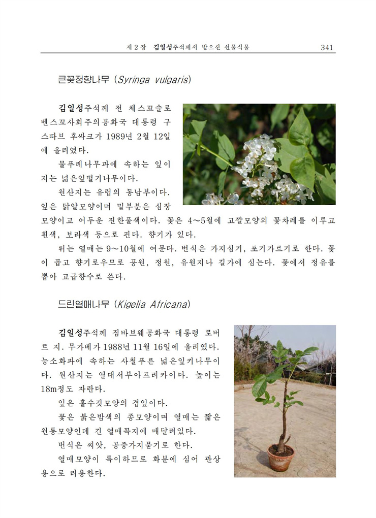 <b>김일성</b>화전서_335.jpg