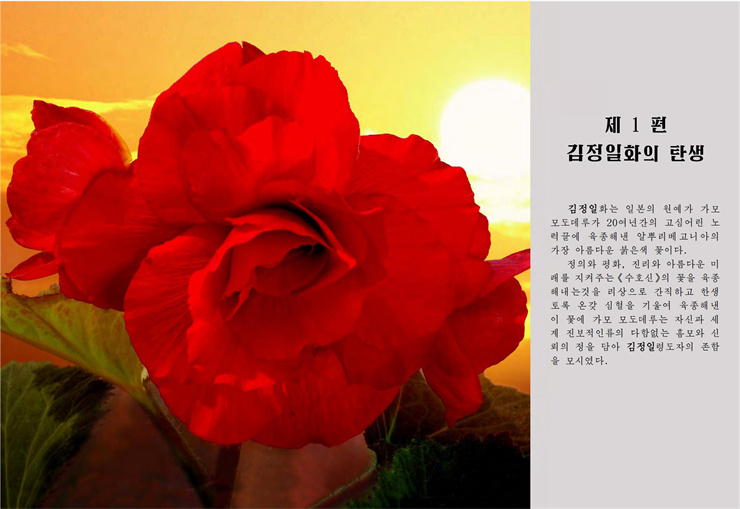 <b>김정일</b>화전서_10.jpg