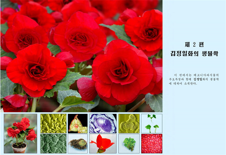 <b>김정일</b>화전서_55.jpg