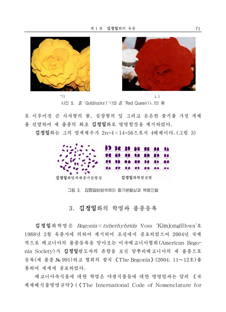 <b>김정일</b>화전서_71.jpg