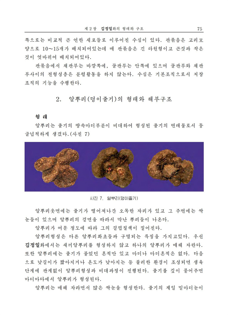 <b>김정일</b>화전서_75.jpg