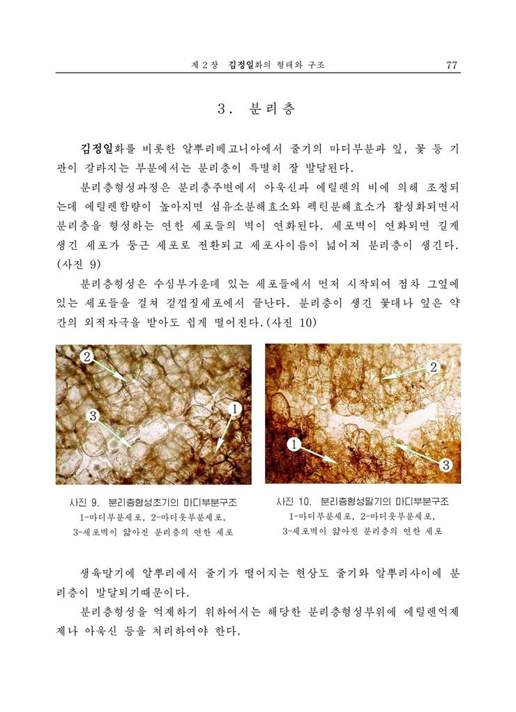 <b>김정일</b>화전서_77.jpg