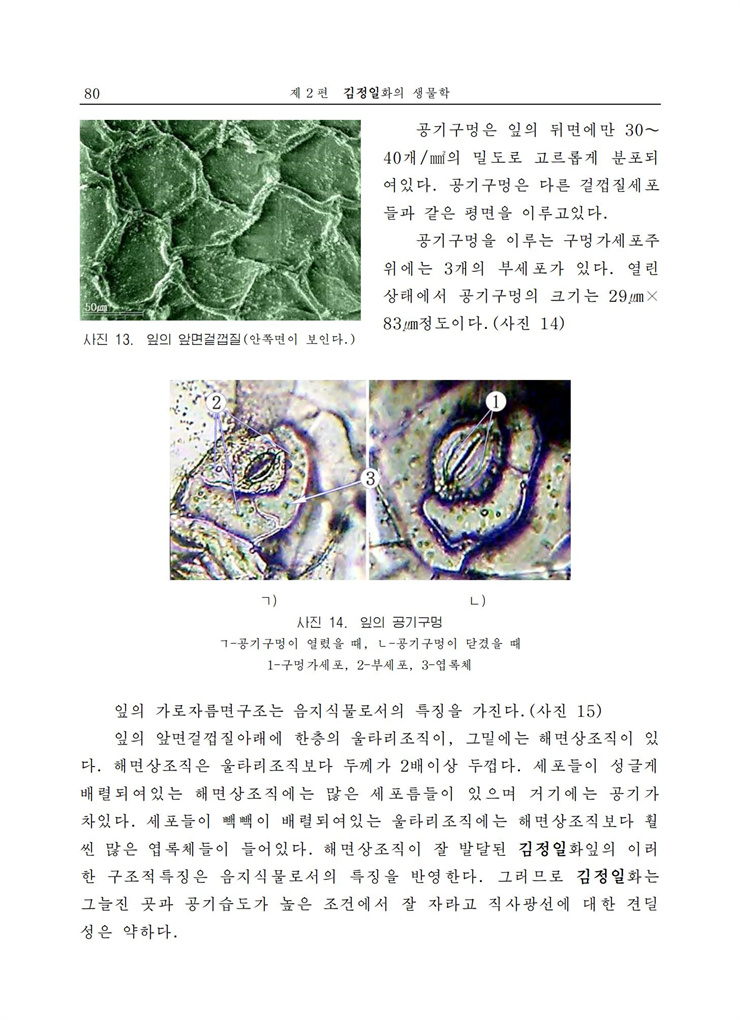 <b>김정일</b>화전서_80.jpg