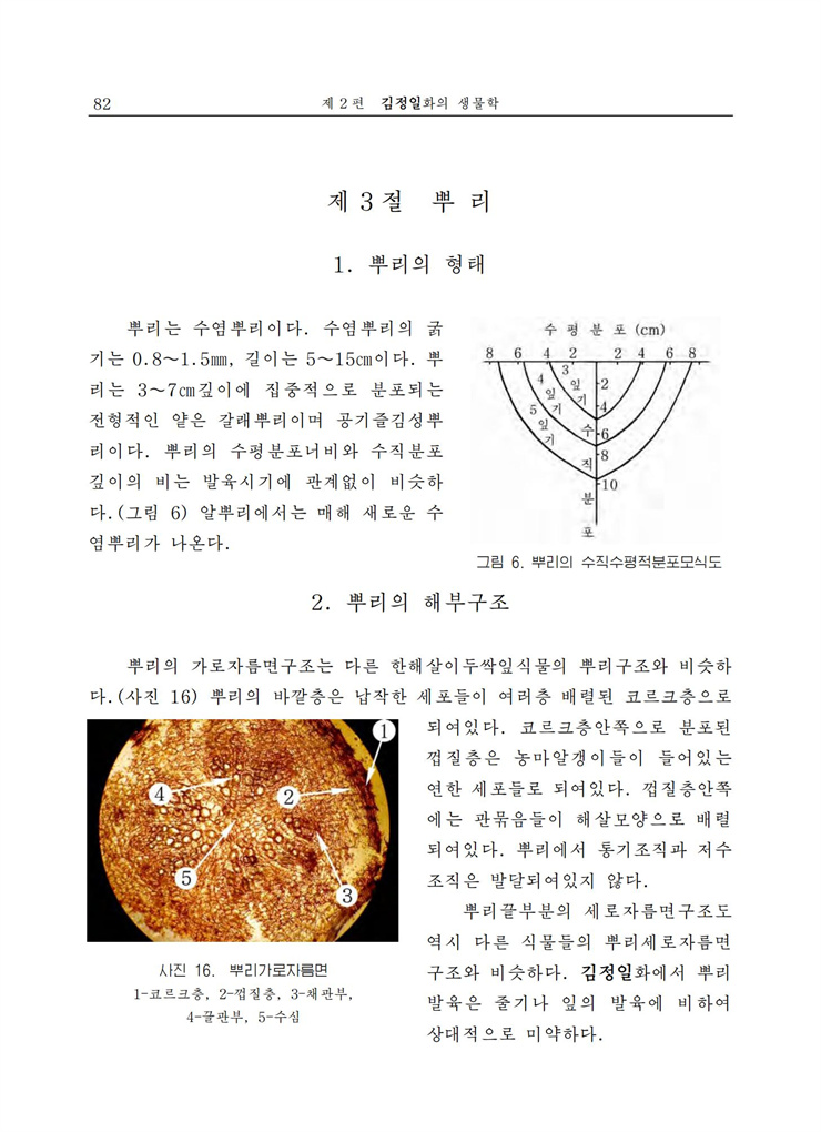 <b>김정일</b>화전서_82.jpg