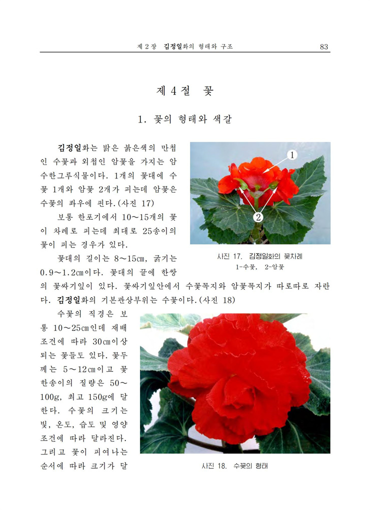 <b>김정일</b>화전서_83.jpg