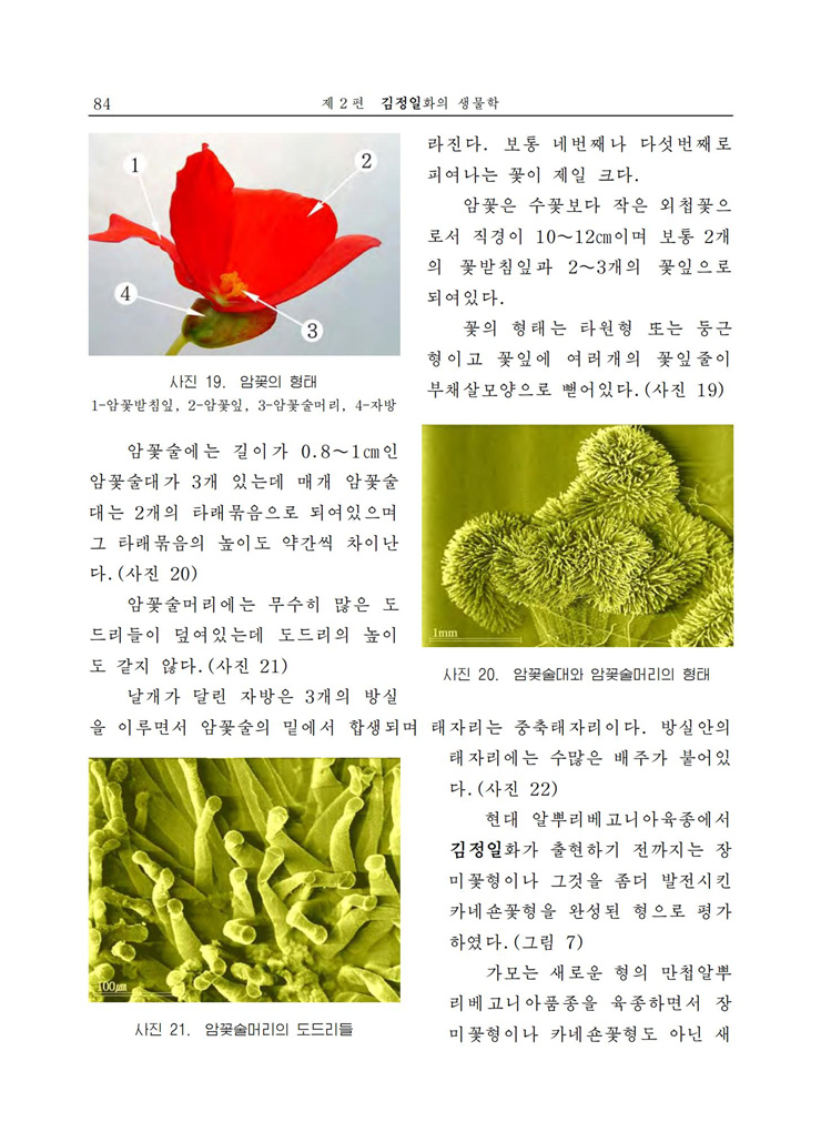 <b>김정일</b>화전서_84.jpg
